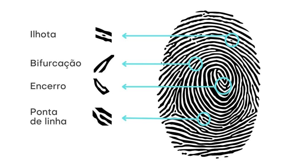 Quais São Os Tipos De Impressão Digital Infantid 9332