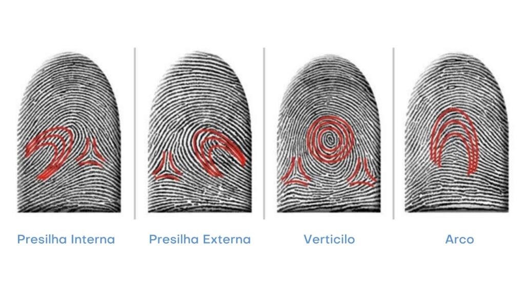 Desenhos dos tipos das digitais por Juan Vucetich
