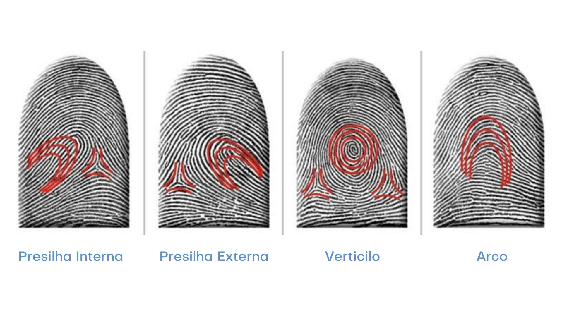 Quais São Os Tipos De Impressão Digital Infantid 8609